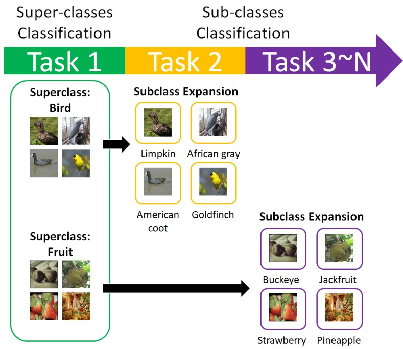Online Continual Learning on Hierarchical Label Expansion